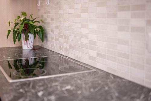 高级两卧室公寓