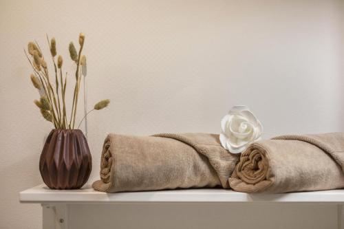 高级两卧室公寓