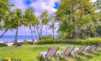 a serene beach scene with several lounge chairs set up on the grassy lawn , overlooking the ocean at Ylang Ylang Beach Resort