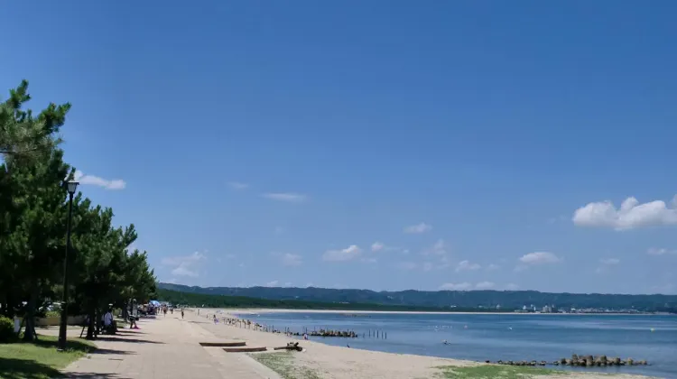 旅館 魚半 外観