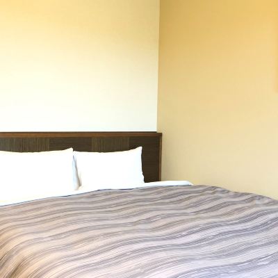 ◆Smoking◆ Double Room [Standard] [Double Room] [Smoking] [No View] ルートイングランティア あおしま太陽閣 クーポン