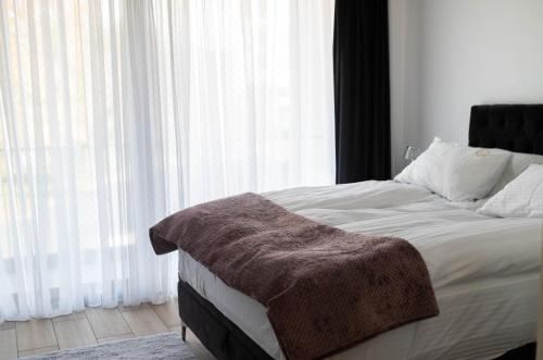 别墅（带独立泳池）