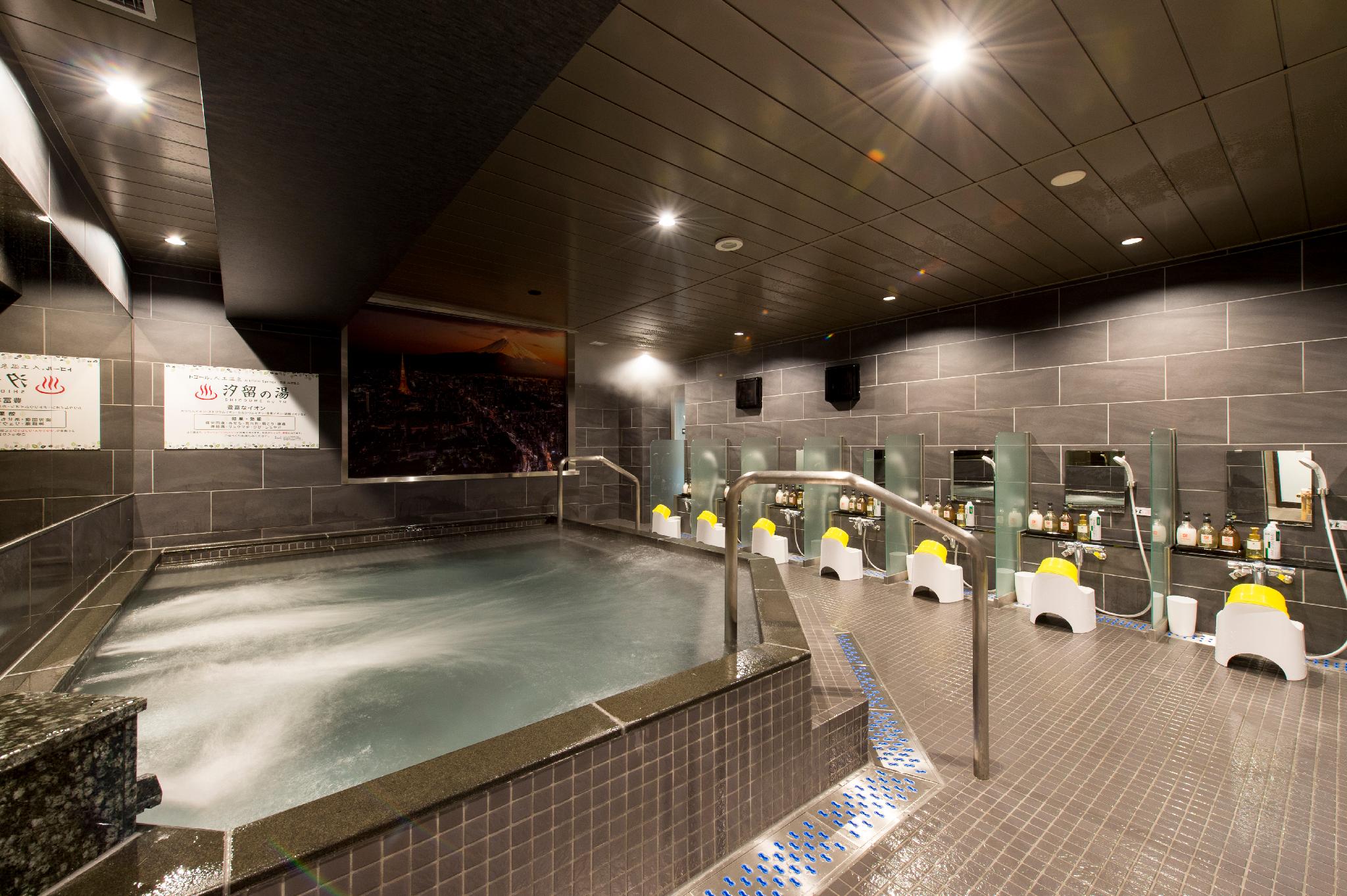Anshin oyado Tokyo Woman Ginza Shiodome (Tokyo) - Book With the
