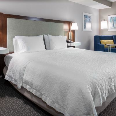 Mobility Accessible King Studio with Tub Hampton Inn & Suites Arlington Crystal City DCA Promo Code