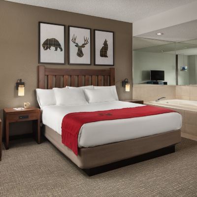 Standard Suite with Whirlpool Great Wolf Lodge Grapevine Promo Code