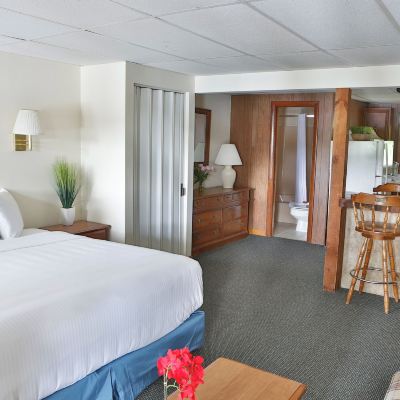 Studio King Suite With Kitchen & Lake Views The Naswa Resort Promo Code
