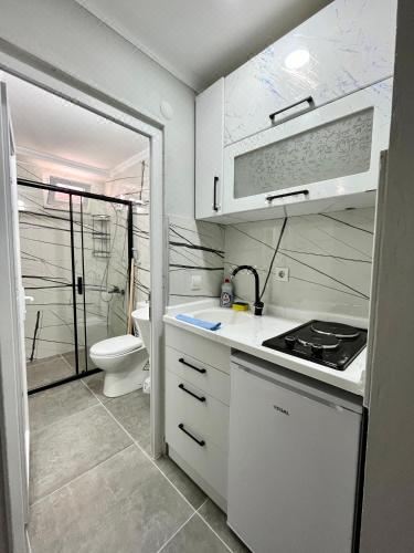 豪华三居室公寓