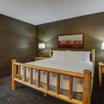 Expanded King Room With Bunk Bed Stoney Creek Hotel Sioux City Promo Code