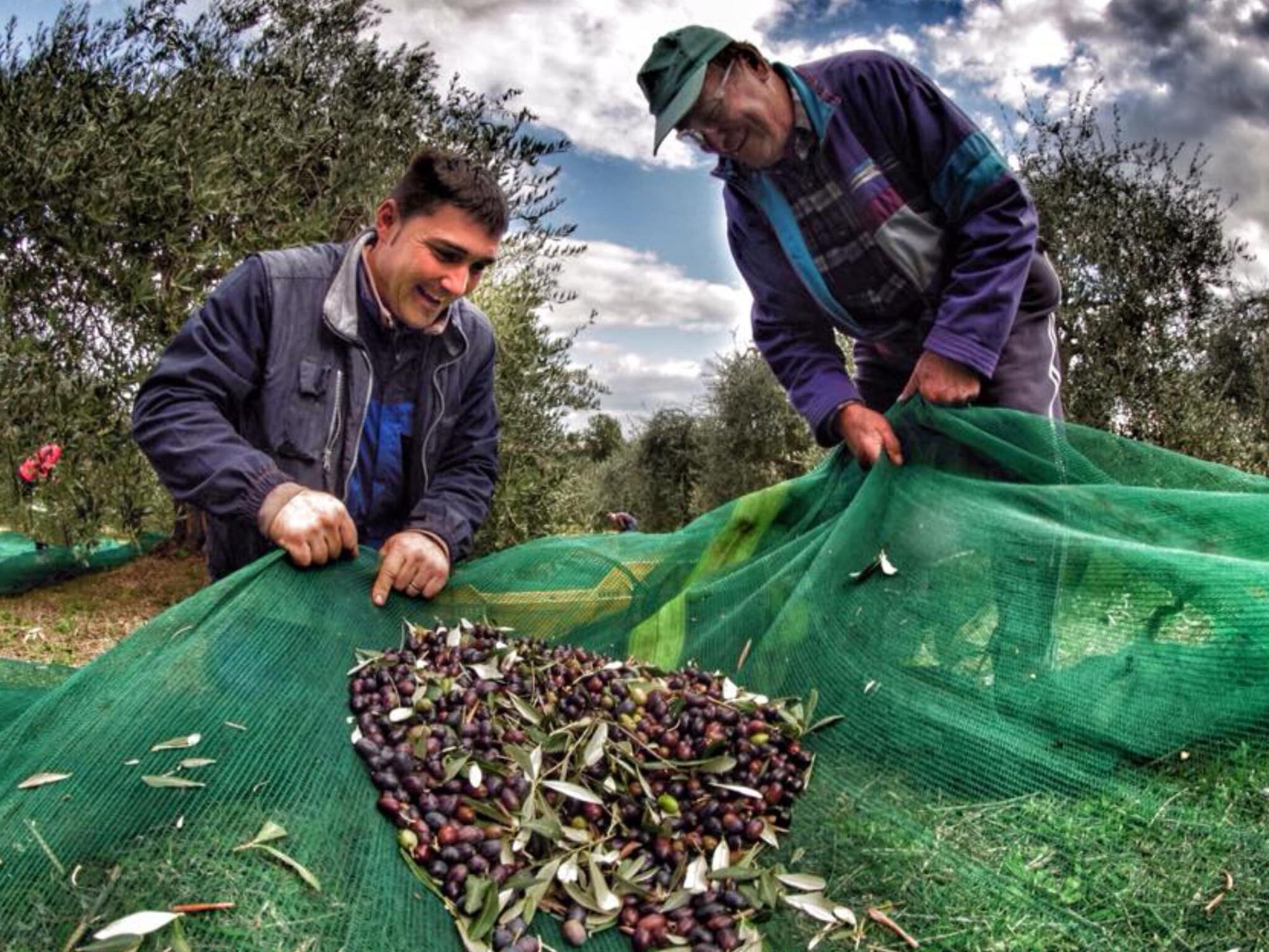 1卧室公寓 - 带庭院 - 可吸烟