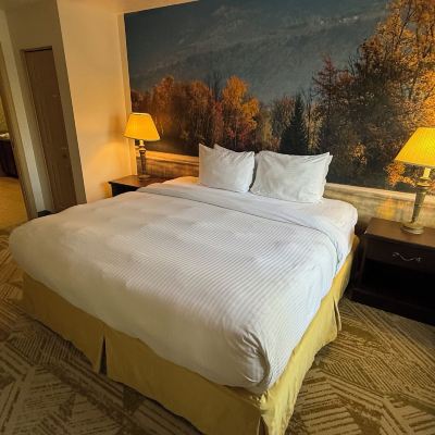 Willowbrook One Bedroom Jacuzzi Split Rock Resort Promo Code