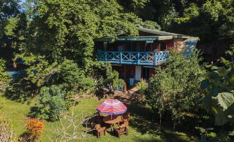 Treetops Lodge