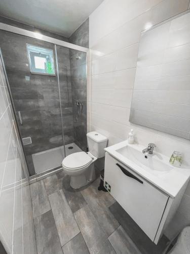 带露台一室公寓