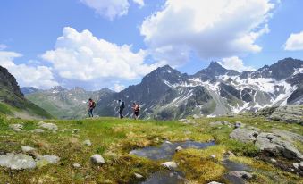 "Quality Hosts Arlberg" Hotel Lux Alpinae