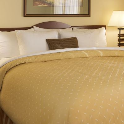 One-Bedroom Suite Larkspur Landing Sacramento-An All-Suite Hotel Promo Code