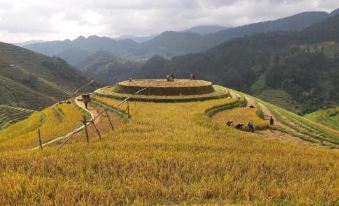 Indigenous Homestay- Trek- Food- Bus