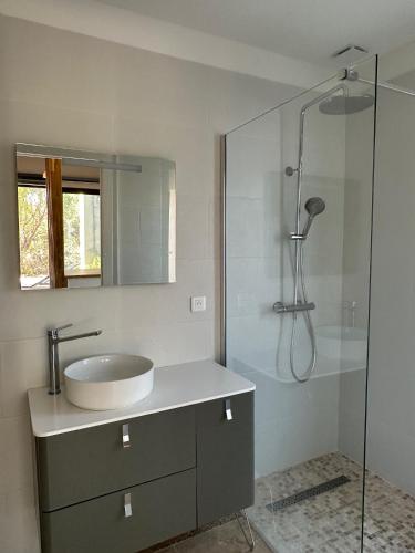 别墅（带独立泳池）