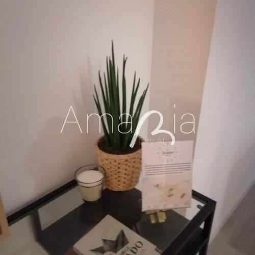 AmaRiaCity Al One-Bedroom Apartment