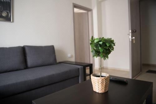 MarkopoulosApartmentsOne-Bedroom Apartment