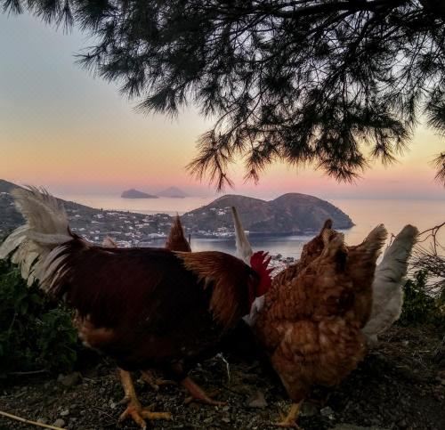 海景豪华双人房
