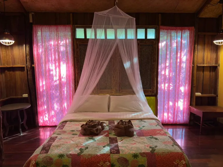 Mangrove Room 2