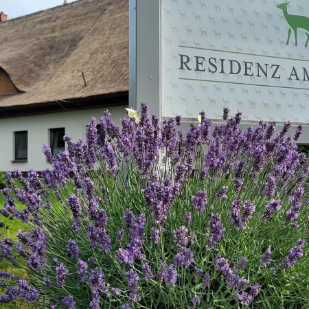 Residenz am Ostufer