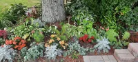 Wild Rose Bed & Breakfast Ξενοδοχεία στην πόλη 