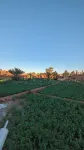 Kasbah Desert Camp