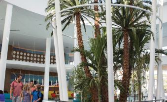 Universal's Cabana Bay Beach Resort - Housity