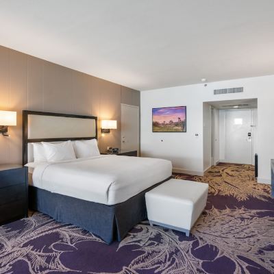 Deluxe Room With 1 King Bed And City View Hotel Zoso Promo Code
