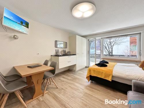 带园景一室公寓