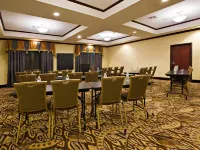 Holiday Inn Express & Suites SNYDER by IHG Hotels in Snyder