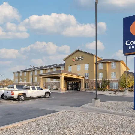 Comfort Inn & Suites Artesia Отели в г. Эдди