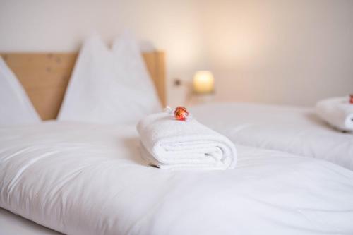 高级三卧室公寓