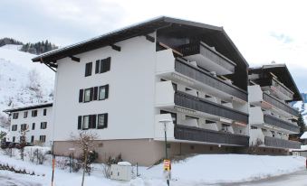 Apartment in Maria Alm directly on the ski slopes - Housity