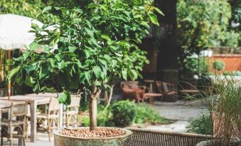 Boutique Hotel SOCLO - Housity