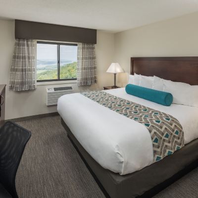 Standard King Room Chestnut Mountain Resort Promo Code