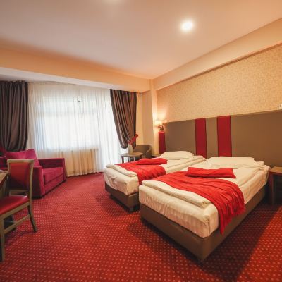 Panoramic Twin Room, Mountain View Hotel Marea Neagra Promo Code