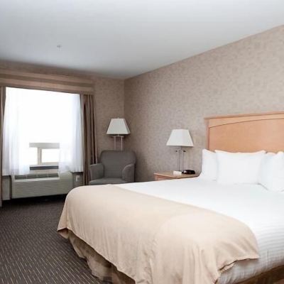 Standard King Room-Non-Smoking Paradise Inn and Suites Promo Code