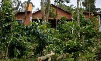 Coffee Bliss Homestay - Coorg