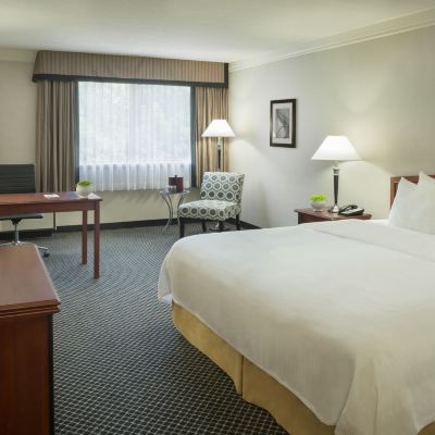 Traditional Double Room Toronto Don Valley Hotel and Suites Promo Code