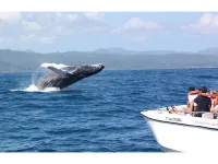 Best Bed and Breakfast in Samana (Breakfast Included)