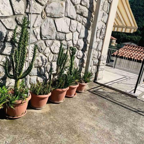 Apartman Riva One-Bedroom Apartment