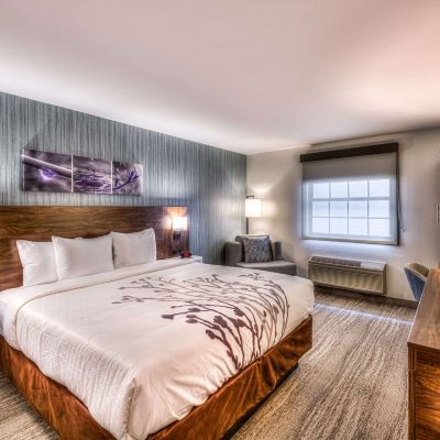Standard King Room-Non-Smoking Sleep Inn Oakbrook Terrace - Chicago Promo Code
