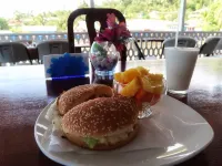 Hotel Caribbean View Hotels in Bastimento