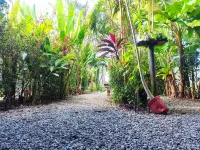 Cabinas Tropicales