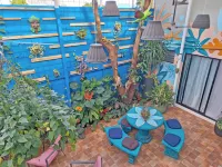 Jungla Urbana, Bnb