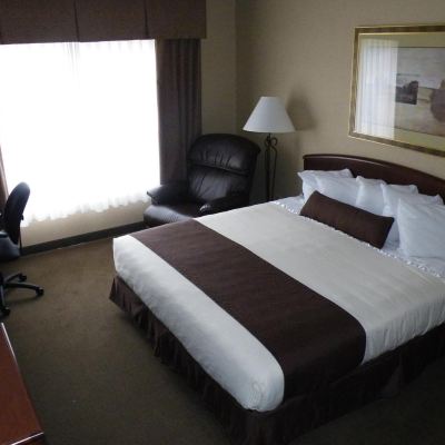 Standard King Room C'Mon Inn Thief River Falls Promo Code