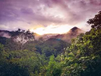 Paradise Wild Hills