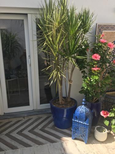 带露台的双人房