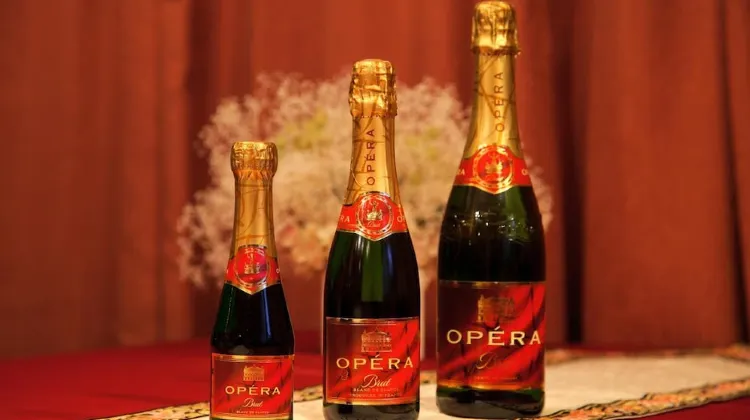 ピッコロホテル オペラ軽井沢（ペンション） 施設